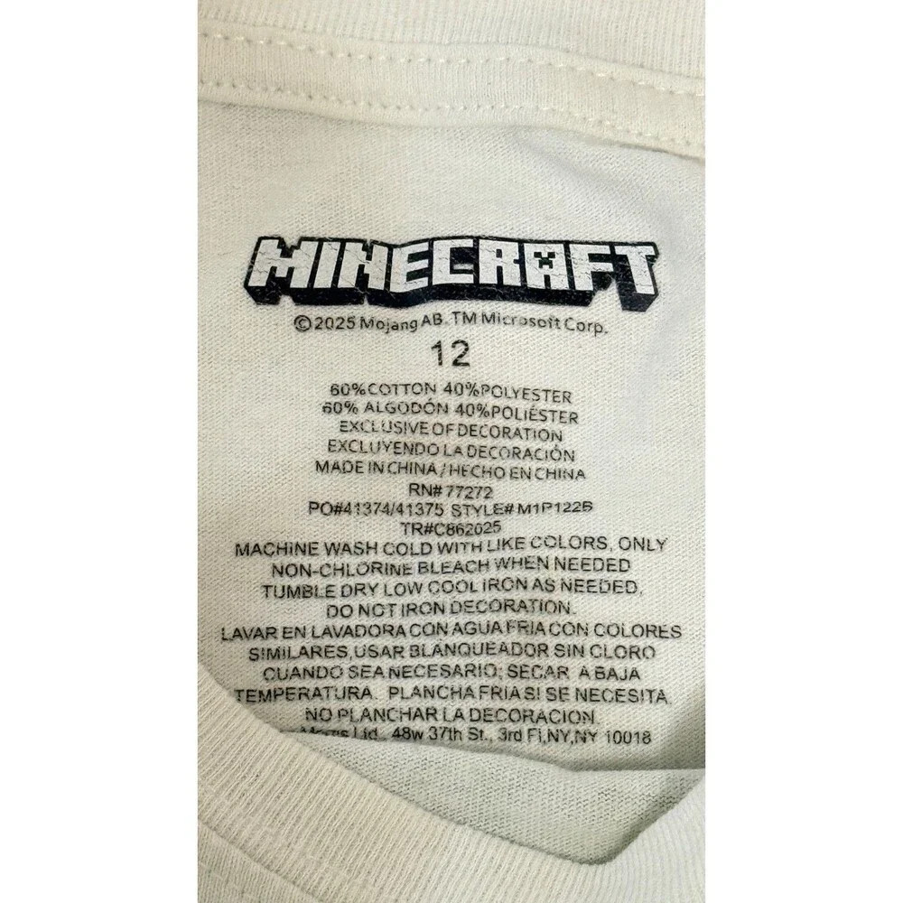 Minecraft 